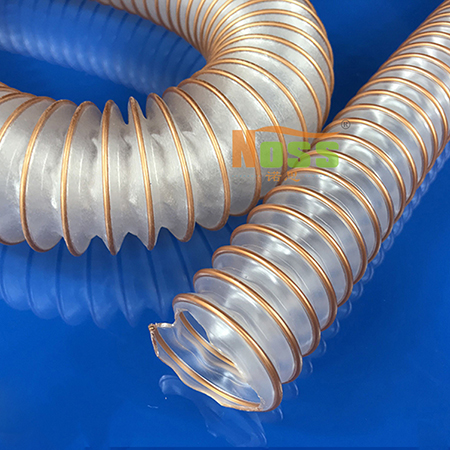 66666.jpg